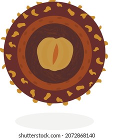 rounded chocolate candy with crushed nuts and nut butter and cream and thin waffle 