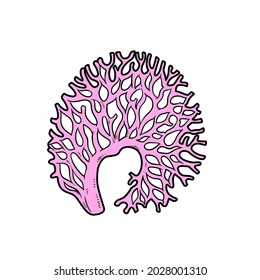 Variación de color de coral redondeado para página de color aislada en fondo blanco