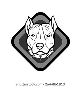 Crachá de diamante arredondado: cabeça do vetor AmStaff colarinho pontiagudo no fundo preto com quadro cinza fino. Design simples e dimensionável para marcas corporativas de animais de estimação, etiquetas de segurança ou insígnias de clubes