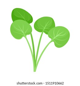 Rounded green leaves. Vector illustration on a white background.