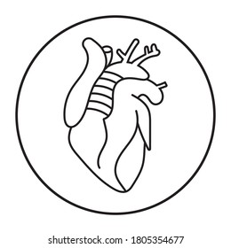 Rounded a human heart internal organs line art icon for apps or website