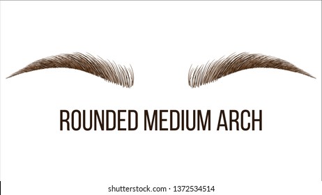 Rounded Medium Arch Vector Hand Drawn Brows Shape  Permanent Brows Tattooing Studio  Microblading Master Salon  Beauty  Cosmetology Business  Eyebrows Natural Makeup Realistic Illustration