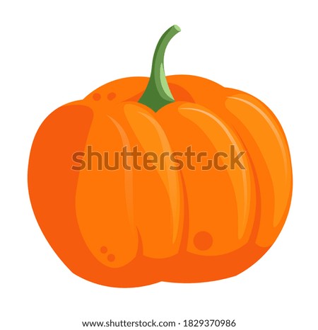 Illustration vectorielle dessinée à l