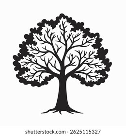Rounded Outline of Oak Tree on Clean White Background