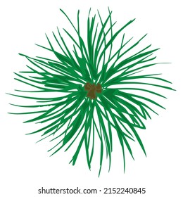 Rounded pine branch vector single illustration.