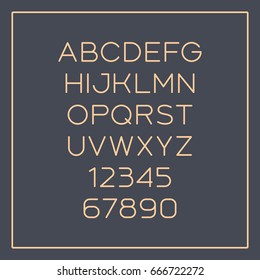 Rounded sans-serif font with elegant thin lines. Vector alphabet with latin letters and numbers