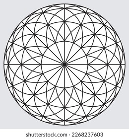 Rounded shape with triangles grid segments. Polygon mesh sphere,  sacred geometry. Mandala circle ornament. Lattice of geometric shapes. Abstract figure. Platonic bodies. Pentagram sign. Vector