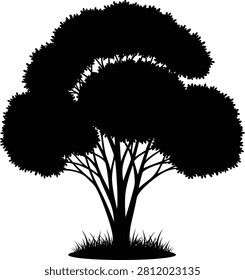 Rounded tree silhouette with dense foliage on a grassy patch