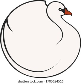 Rounded white swan, specifically Cygnus olor, otherwise known as the mute swan.