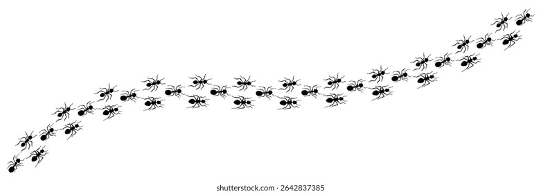Fileira de formigas trilha linha isolada no fundo branco. Linha de trilha de formigas. Formigas-cortantes