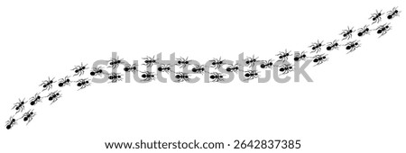 Row of ants trail line isolated on white background. Ants trail line. Running ants