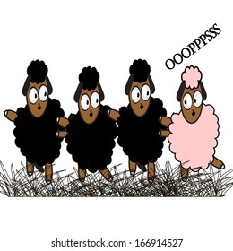 row of black sheep in TRANSIT, the last is the casting