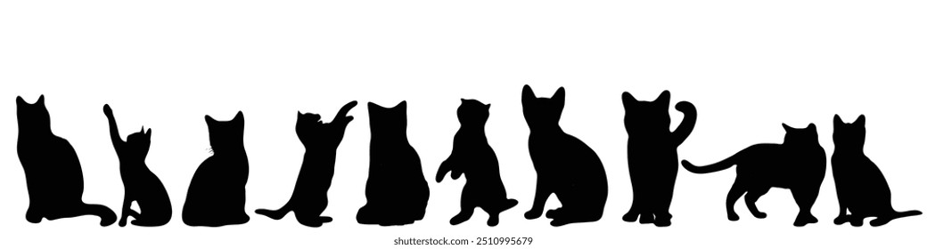 A row of black and white cats are sitting in a line. The cats are all different sizes and are sitting in various positions. The image has a calm and peaceful mood, with the cats looking relaxed