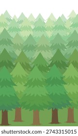 A row of cedar trees