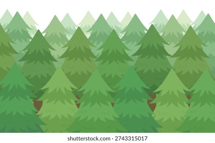 A row of cedar trees