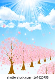 Row of cherry blossom trees background