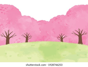 Row of cherry blossom trees background