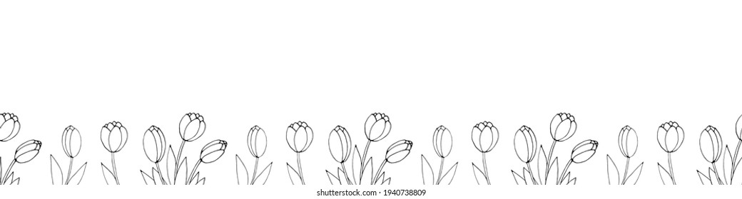 Row of contour tulip flowers. Vector hand drawn spring background isolated. Horizontal bottom edging, border, decoration for greeting card, invitation, Valentine's, Women's or Mother day