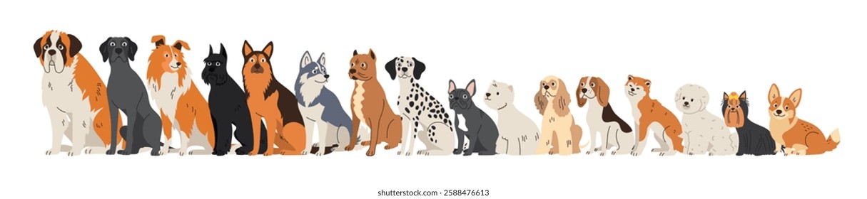 Row of different dog breeds. Pets sitting. Small, medium and large breeds. Flat collection of adult animals