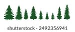 A row of evergreen tree silhouettes in various sizes, creating a visual representation of growth and variation.