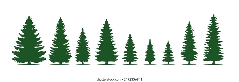 A row of evergreen tree silhouettes in various sizes, creating a visual representation of growth and variation.