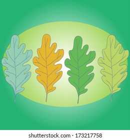 Row of four oak leaves on green background. Vector element for your design