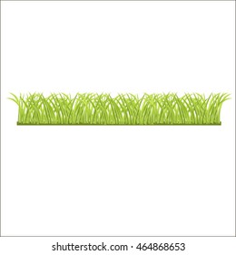  row of fresh green grass for you