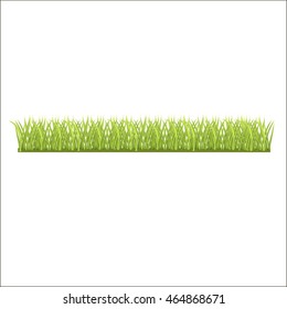  row of fresh green grass for you
