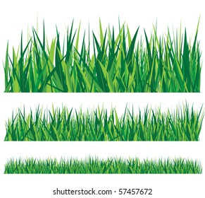 row of grass