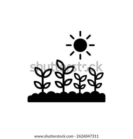 Row of Leafy Green Plants Growing in Neat Lines Under Warm Sunlight