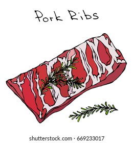 Row Pork Ribs and Herbs. Realistic Vector Illustration Isolated. Savoyar Doodle Style. Fresh Meat Cuts.