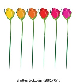 Row of roses In different color scheme vector stock illustration.