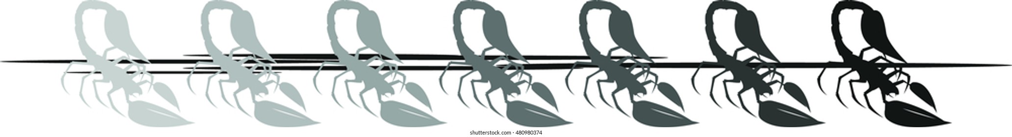 Row of scorpions on white background