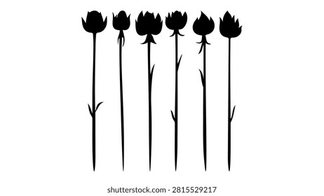 A row of seven black tulips showcasing dark, mysterious flowers perfect for floral arrangements and botanical themes.