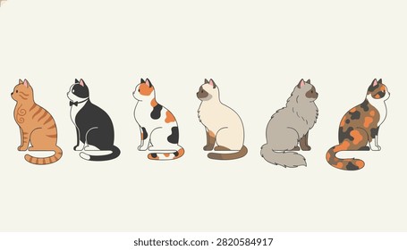 Row of six cute sitting cats of different breeds including tabby tuxedo calico siamese and long haired grey.