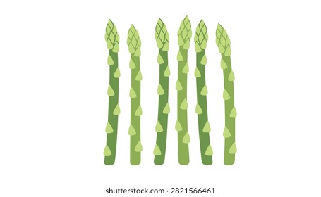 Row of six fresh green asparagus spears standing vertically against a plain white background vector illustration.