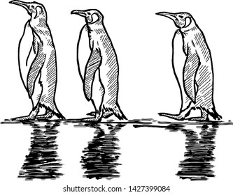 A row of walking penguin. Hand drawn vector illustration. 