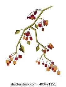Rowan