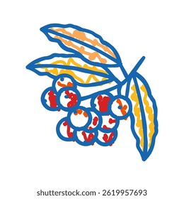 rowan autumn doodle icon sketch vector. rowan autumn sign. isolated symbol illustration