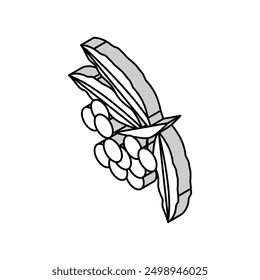 rowan autumn isometric icon vector. rowan autumn sign. isolated symbol illustration