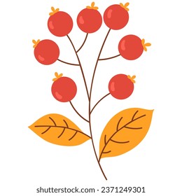 Rowan berries autumn element. Vector illustration with autumn theme.