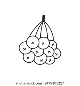Rowan Berries Bunch Doodle Icon. Hand drawn autumn fall forest harvest. Isolated vector illustration