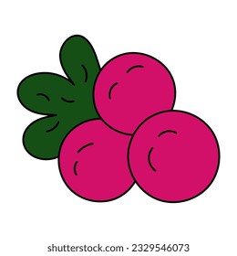 gráficos vectoriales de elementos de berries de rowan