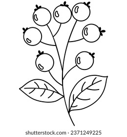 Rowan berries line art. Vector illustration with autumn theme.