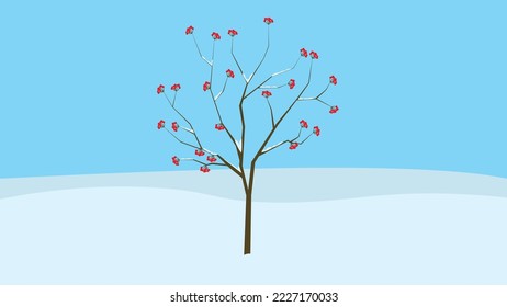 rowan berries on a snowy tree
