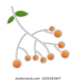Rowan berries. Vector illustration. Isolated on white background