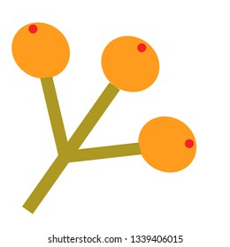 rowan berry flat illustration isolated on white. City life and life style series
