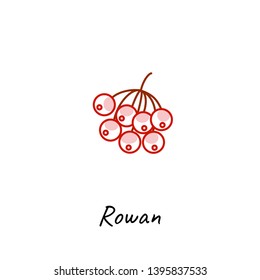 Rowan berry icon vector illustration. Outline colored style.