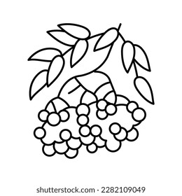 rowan berry line icon vector. rowan berry sign. isolated contour symbol black illustration