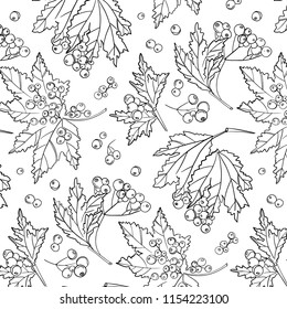 Rowan berry pattern. Autumn white black cover decoration. Wildflower plant with leaves and berries. botanical isolated wrap